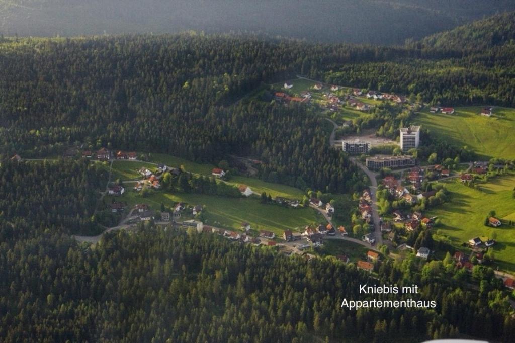 3- 2-1 - Raum - Ferienappartements Dieter Hoffmann Freudenstadt-Kniebis Beim Nationalpark Eksteriør billede