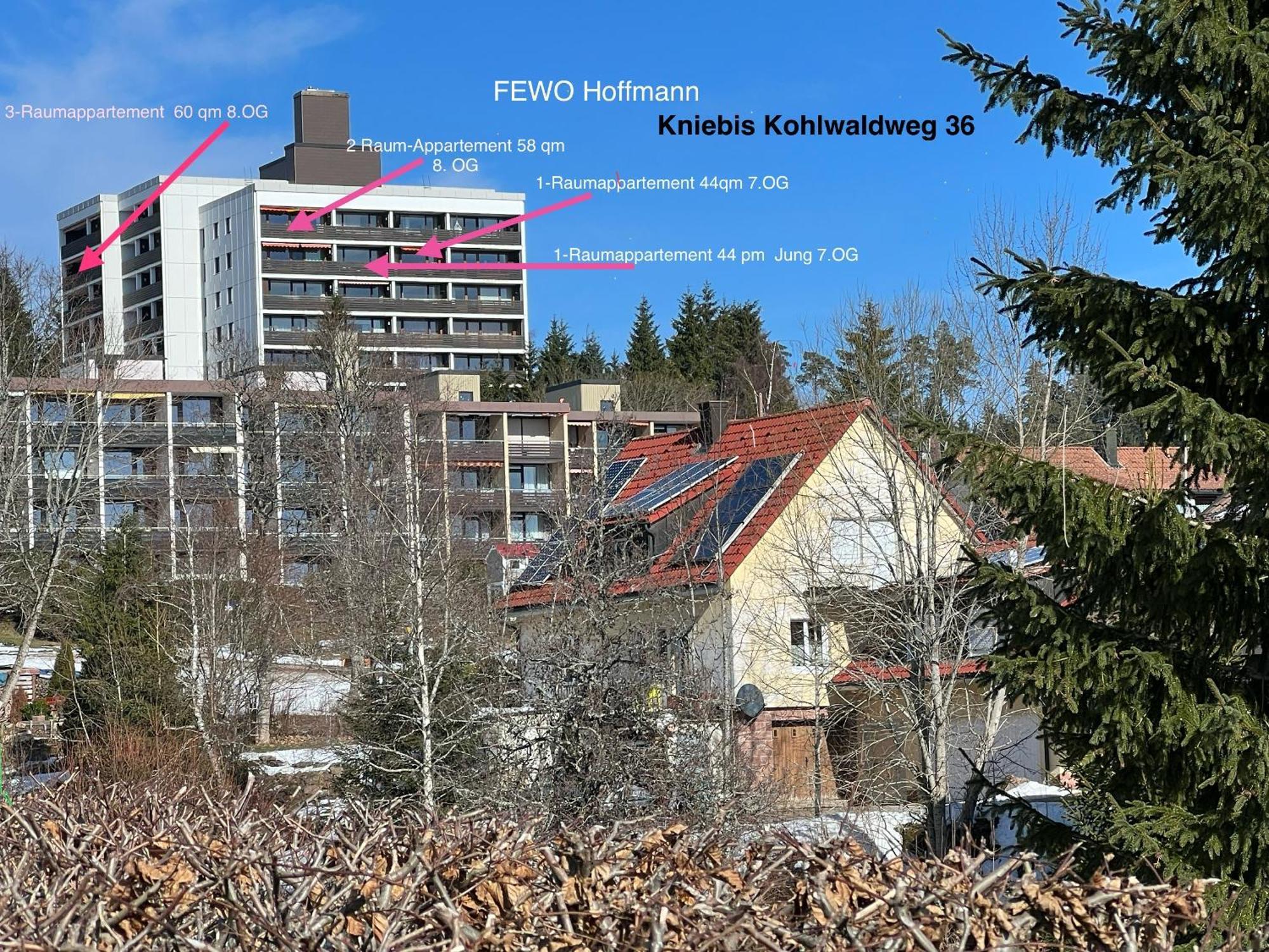 3- 2-1 - Raum - Ferienappartements Dieter Hoffmann Freudenstadt-Kniebis Beim Nationalpark Eksteriør billede