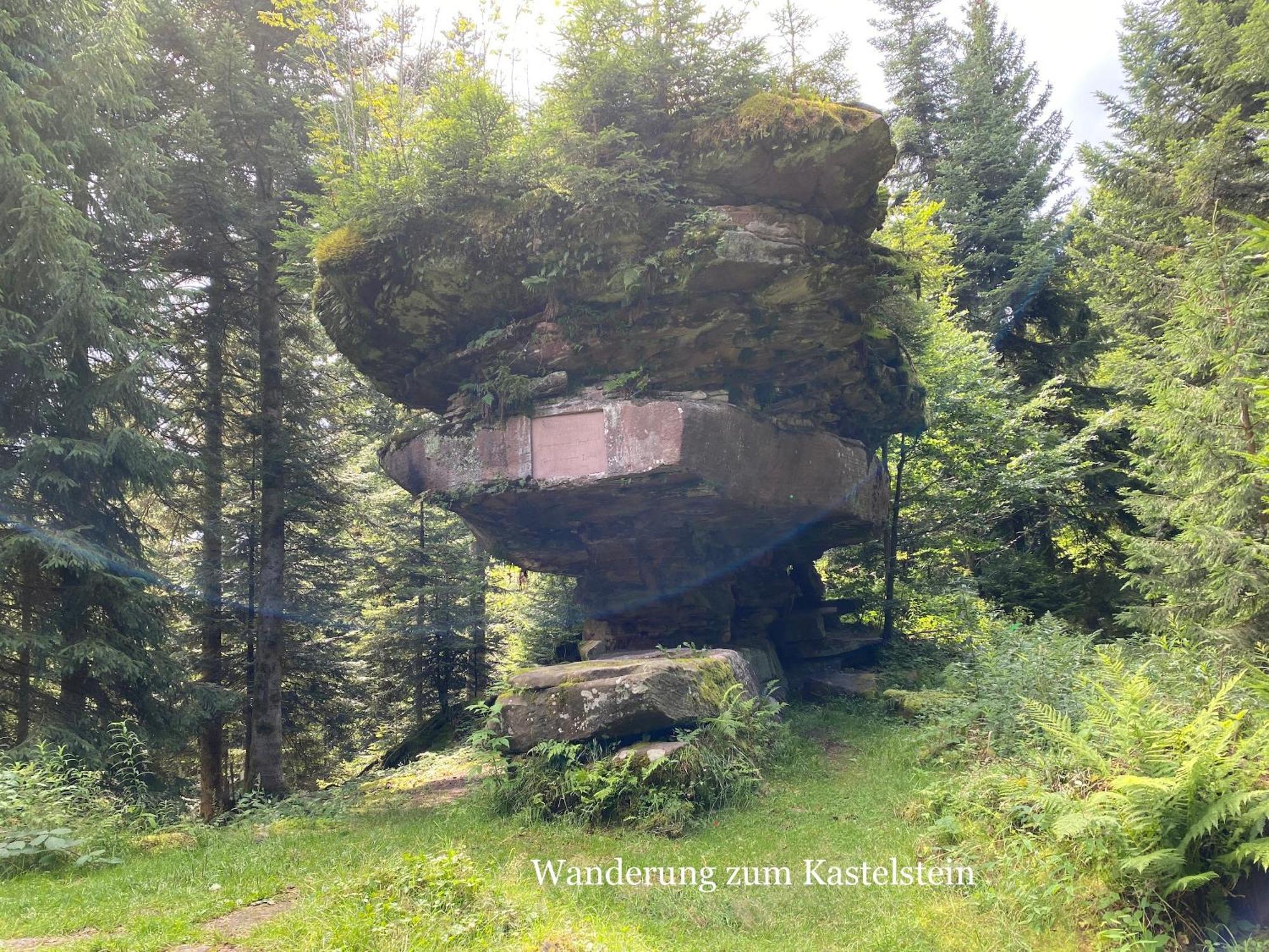 3- 2-1 - Raum - Ferienappartements Dieter Hoffmann Freudenstadt-Kniebis Beim Nationalpark Eksteriør billede