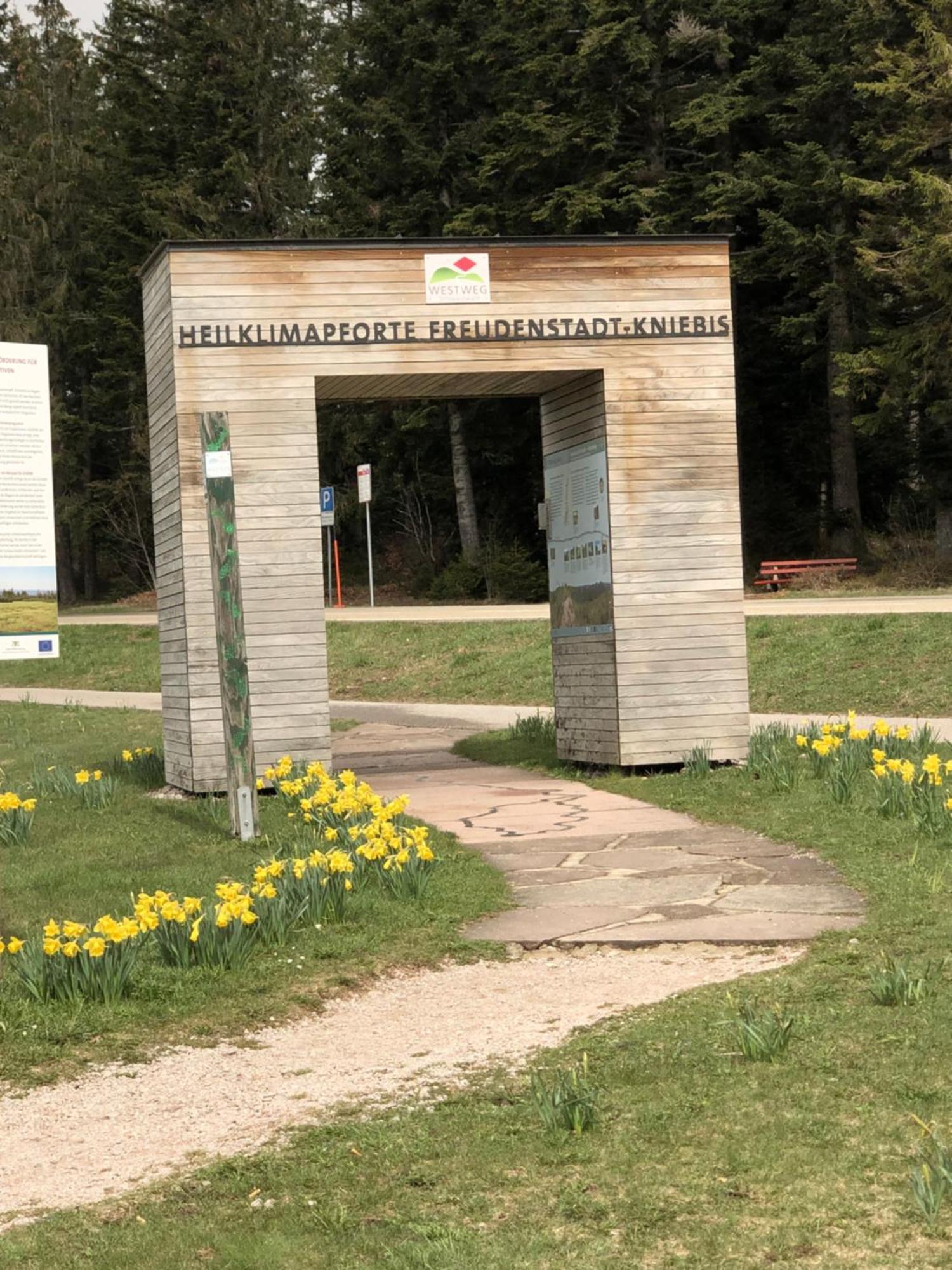 3- 2-1 - Raum - Ferienappartements Dieter Hoffmann Freudenstadt-Kniebis Beim Nationalpark Eksteriør billede