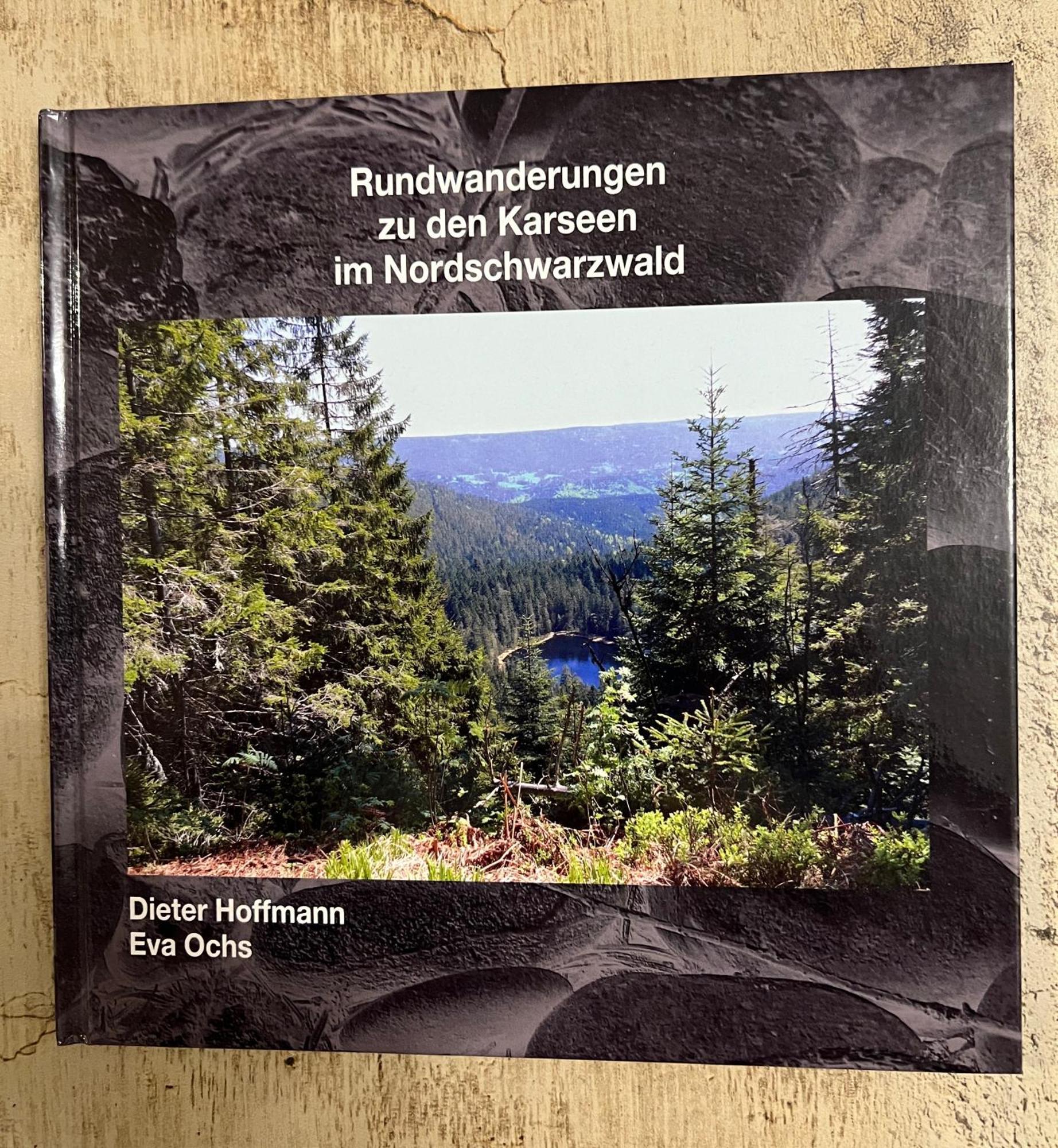 3- 2-1 - Raum - Ferienappartements Dieter Hoffmann Freudenstadt-Kniebis Beim Nationalpark Eksteriør billede