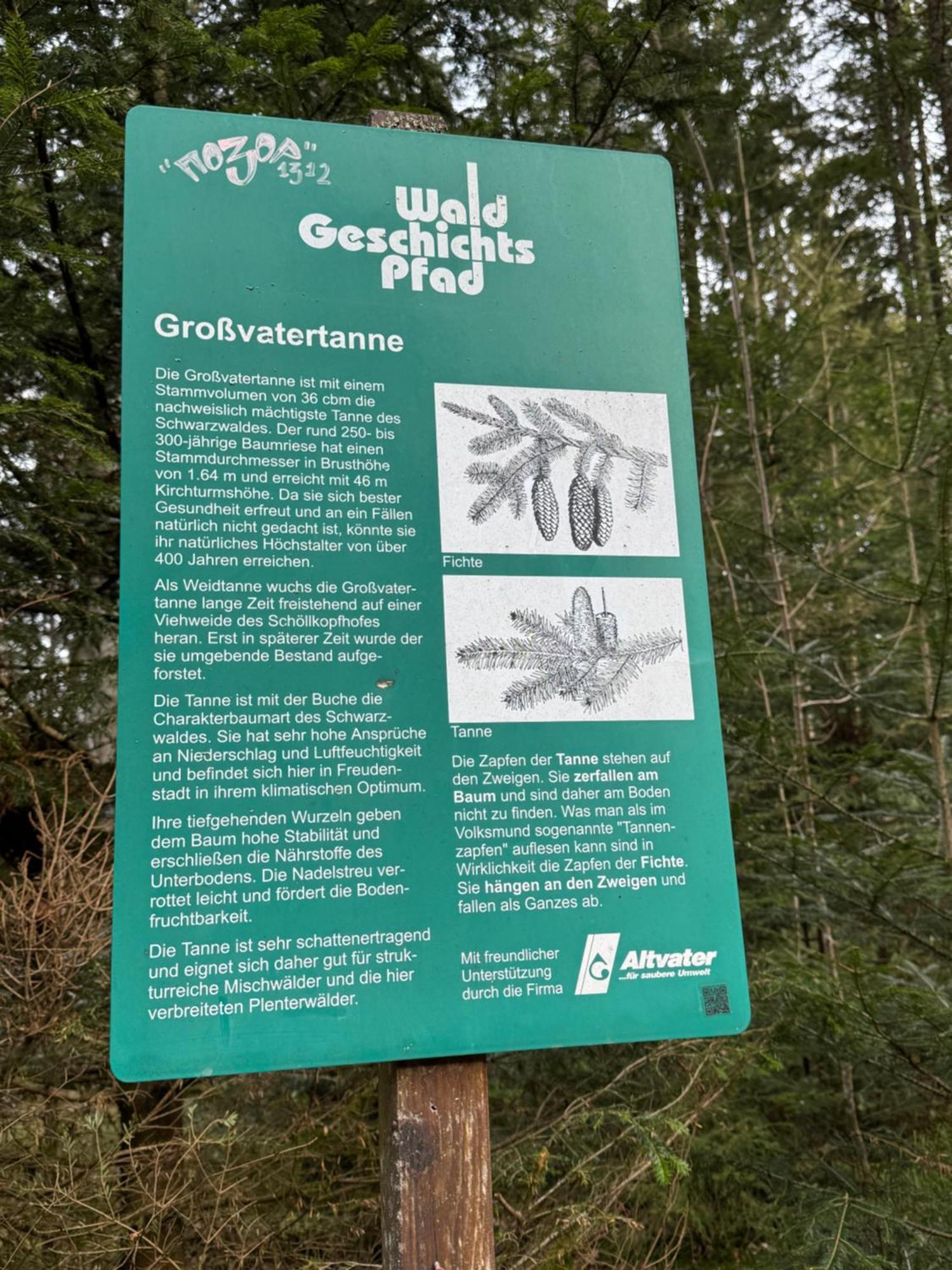 3- 2-1 - Raum - Ferienappartements Dieter Hoffmann Freudenstadt-Kniebis Beim Nationalpark Eksteriør billede